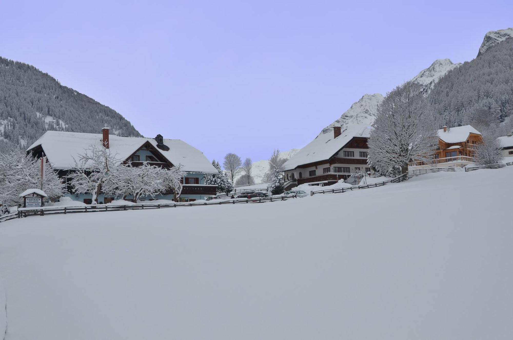 Landhotel - Apartments Bauer Hintergöriach Buitenkant foto